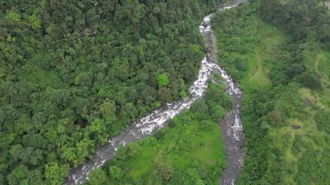 Aerial Views River Flow in the Forest Stock-Footage 258732614