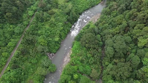 Aerial Views River Flow in the Forest 動画素材 258732898