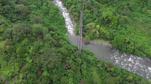 Aerial Views River Flow in the Forest 動画素材 258735372