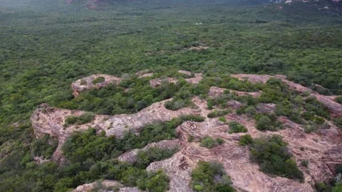 Aerial Views of Serra da Capivara National Park | Caatinga Biome, Brazil Stock Footage 336983862