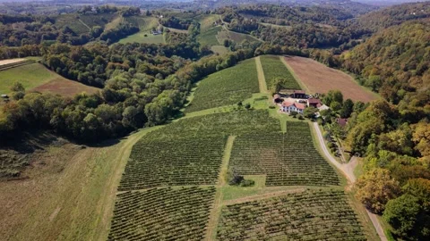 Aerial views showcase an expansive vineyard estate in Jurancon, France Stock Footage 346837011