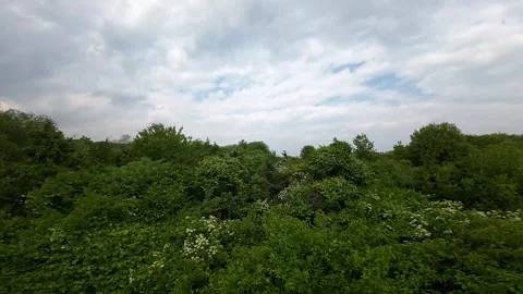 Aerial Views of Springtime Warwick: Fast FPV Drone Footage Video stock 243367099