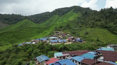 Aerial views of tea fields Stock Footage 246134073