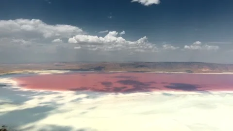Aerial views trace a pink salt lake - Bacterial Bloom and Environmental Pattern Stock Footage 339742933