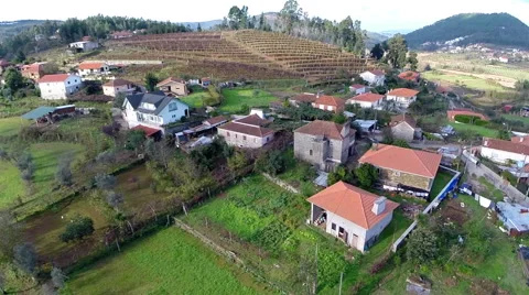 Aerial views of vineyards. Stock Footage 63368983