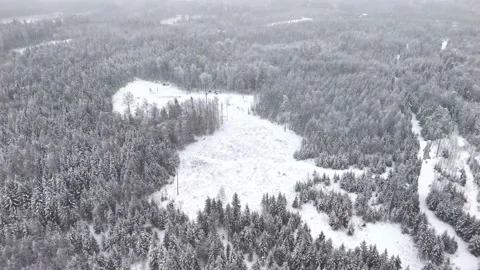 Aerial views in winter. Vidéo 331215070