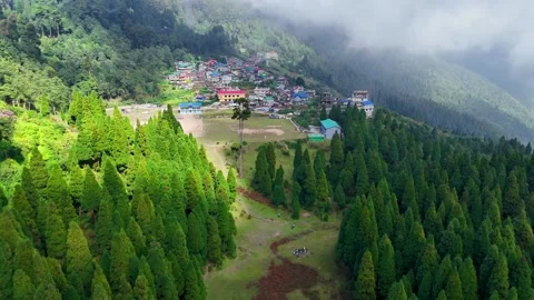 Aerial Village Overlooking Pine Forests and Mist Video stock 340278328