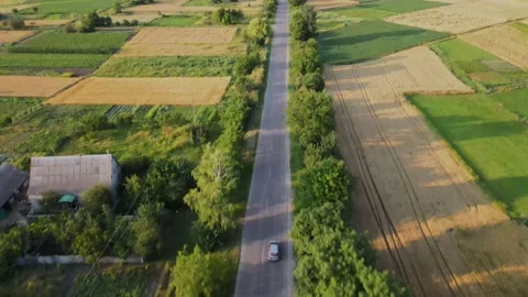 Aerial, Village, Sown Fields, Empty Road, Grassland, Wheat and Corn of Fields Stock Footage 163094036