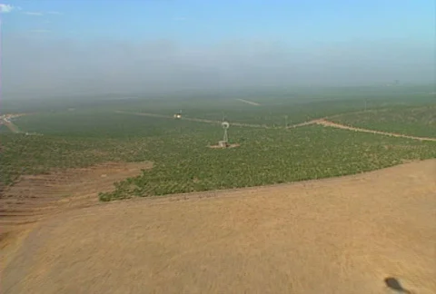 Aerial vineyard 04 Stock Footage 620759