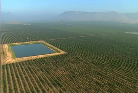 Aerial vineyard 08 Stock Footage 620784