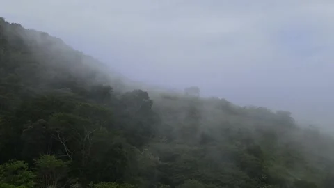 Aerial visual over the jungle of peru in the amazon, cloudy tropical forest Video stock 202232859