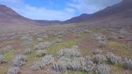 Aerial: Volcanic Valley Full Of Flowers And Cactuses Under Volcanoes Stock Footage