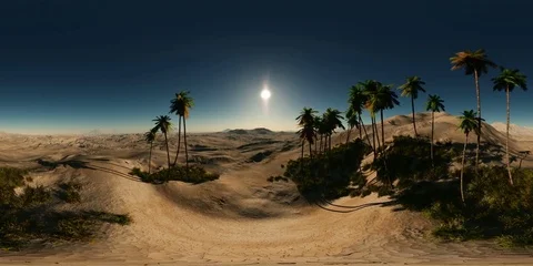 Aerial vr 360panoramia of palms in desert. made with the one 360 degree lense Stock Footage