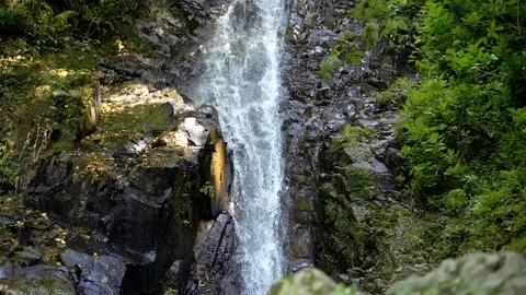 Aerial: Waterfall in deep forest Stock-Footage 115076155