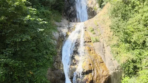 Aerial waterfall forest Stock Footage 240771004