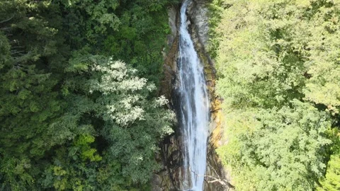 Aerial waterfall forest Video stock 240771133