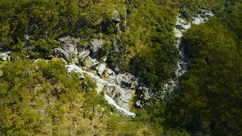 Aerial, a waterfall in the middle of rain forest at Davies Creek in Queenslan Vidéo 119407526