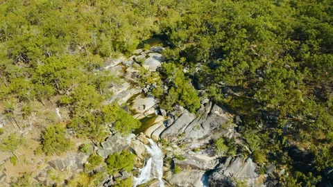 Aerial, a waterfall in the middle of rain forest at Davies Creek in Queenslan Vidéo 122501042