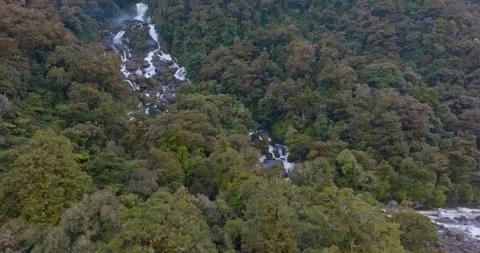 Aerial: Waterfall in native forest in the west coast, Haast, New Zealand Stock Footage 246249943