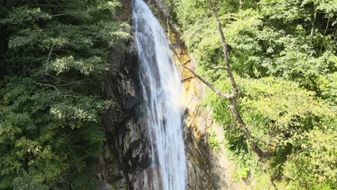 Aerial waterfall nature Stock Footage 240768928