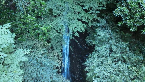 Aerial waterfall nature Vídeo Stock 240781402