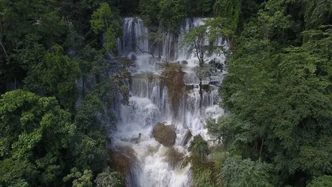 Aerial waterfall through trees forest Stock Footage 77781258