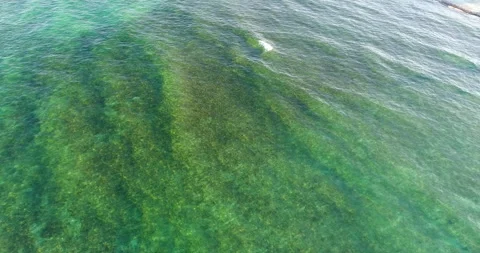 Aerial of waves flowing Stock Footage 259126778