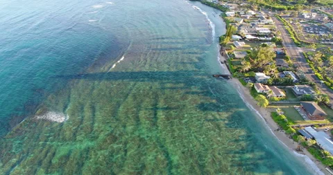 Aerial of waves flowing over reef Stock Footage 259110030
