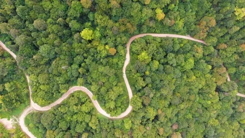 Aerial way, tree Video stock 163587448