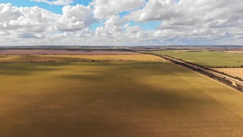 Aerial wheat fields Stock Footage 118040312