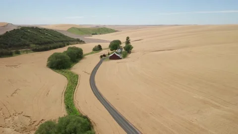 Aerial: Wheat fields, rolling hills and farm, Colfax, Washington, USA Stock Footage 159727103