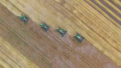 Aerial wheat harvesting Stock Footage 100533230