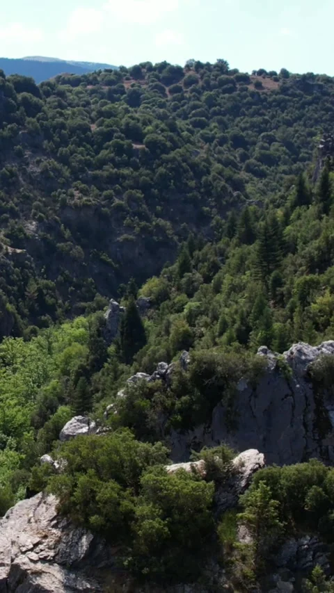 Aerial white cliff rising through dense green mountain vegetation Stock Footage 343992606