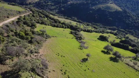 Aerial wide angle establishing shot of lush field and mountain canyon Vidéo 337458487