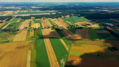 Aerial wide angle panoramic view of vast agricultural fields and meadows un.. Stock Footage 337644682