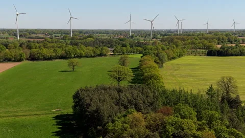 Aerial wide angle panoramic view over lush green agricultural pasture field. Stock Footage 339315668