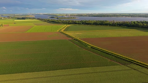 Aerial wide angle panoramic view of colorful green and brown agricultural Stock Footage 339633316