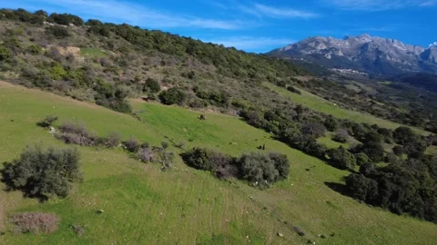 Aerial wide angle shot of sloping farmland with village and mountain range Stock Footage 337458843