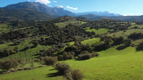 Aerial wide angle view of green mountain landscape with olive groves Video stock 337459928