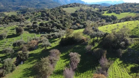Aerial wide angle view of Mediterranean farmland and forested hills Stock Footage 337459232