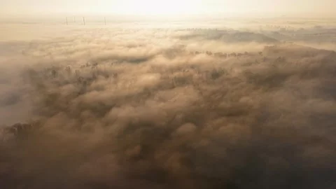 Aerial wide angle view over a dense forest shrouded in thick morning fog Stock Footage 339220181