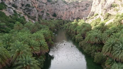 Aerial wide angle view of Preveli river and tropical canyon oasis Video stock 337046336