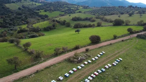 Aerial wide push out of hillside meadow with olive tree and beehives Stock-Footage 337460587