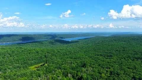 Aerial Wide Shot of Forest and Quabbin Reservoir on Clear Summer Day in Stock Footage 340260164