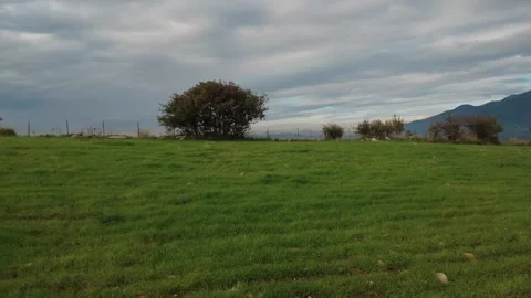 Aerial wide view of lone tree on hill under dramatic cloudy sky Stock Footage 337459542