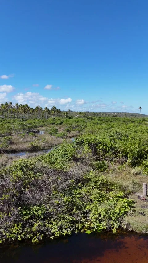 Aerial Wiew Stockbeeldmateriaal 317764288