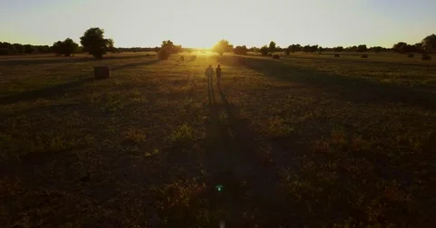 Aerial wiew love young couple walking on the field with hay and horses at sunset Stock Footage 68086953