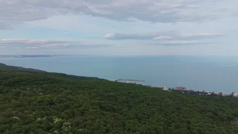 Aerial Wilderness Panorama Featuring Dense Forest Stock Footage 335067287