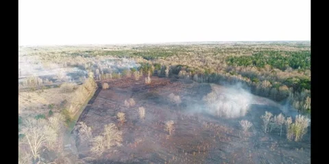 Aerial of wildfire Video stock 290473062