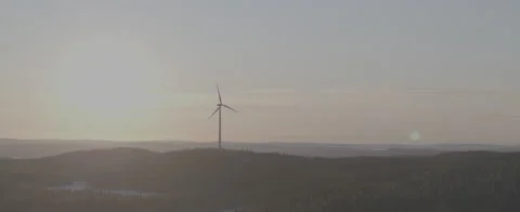 Aerial - Wind power in forest - D-LOG ProRes 5K Stock Footage 146003612